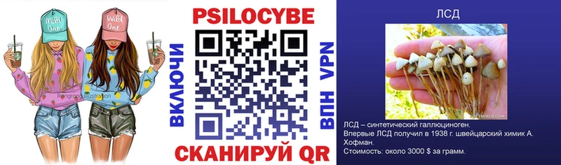 Галлюциногенные грибы GOLDEN TEACHER  Гагарин 