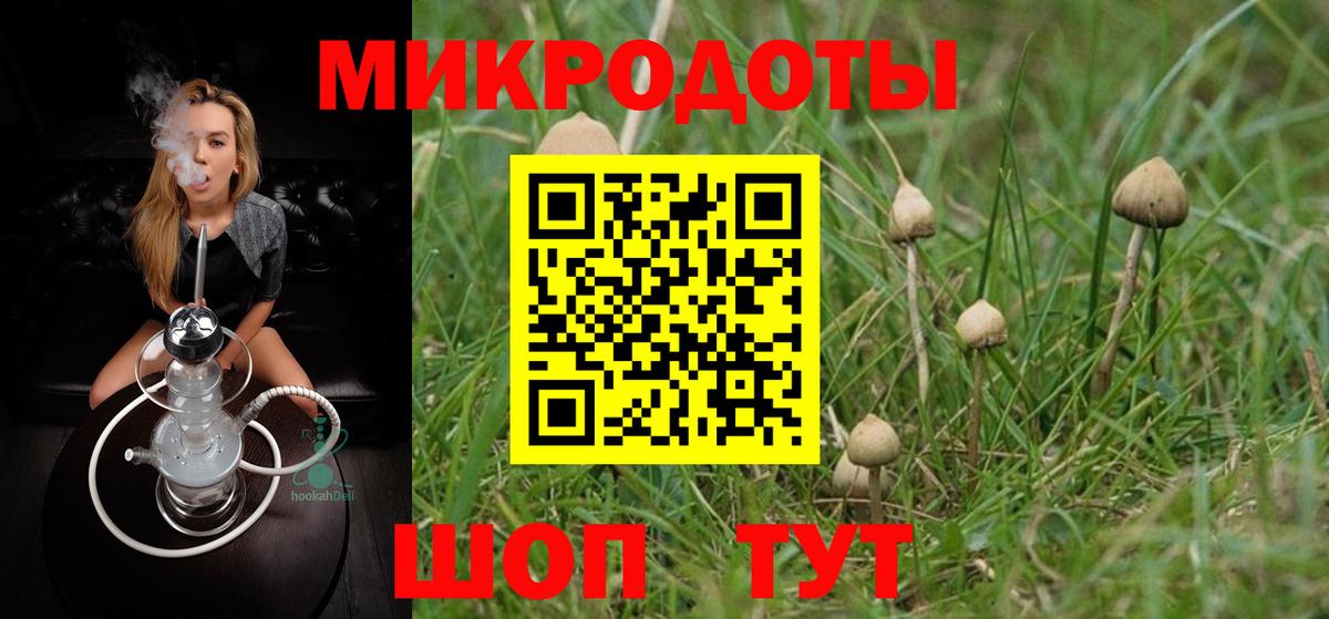 Галлюциногенные грибы MAGIC MUSHROOMS  цена наркотик  Гагарин  Вход с VPN 