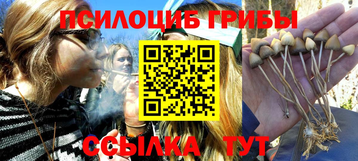 Круглые  Гагарин  Меф  Конопля  Вход с VPN  Масло ТГК  ГАШИШ  Кокаин  МЕТ  Гарик  Каннабис 