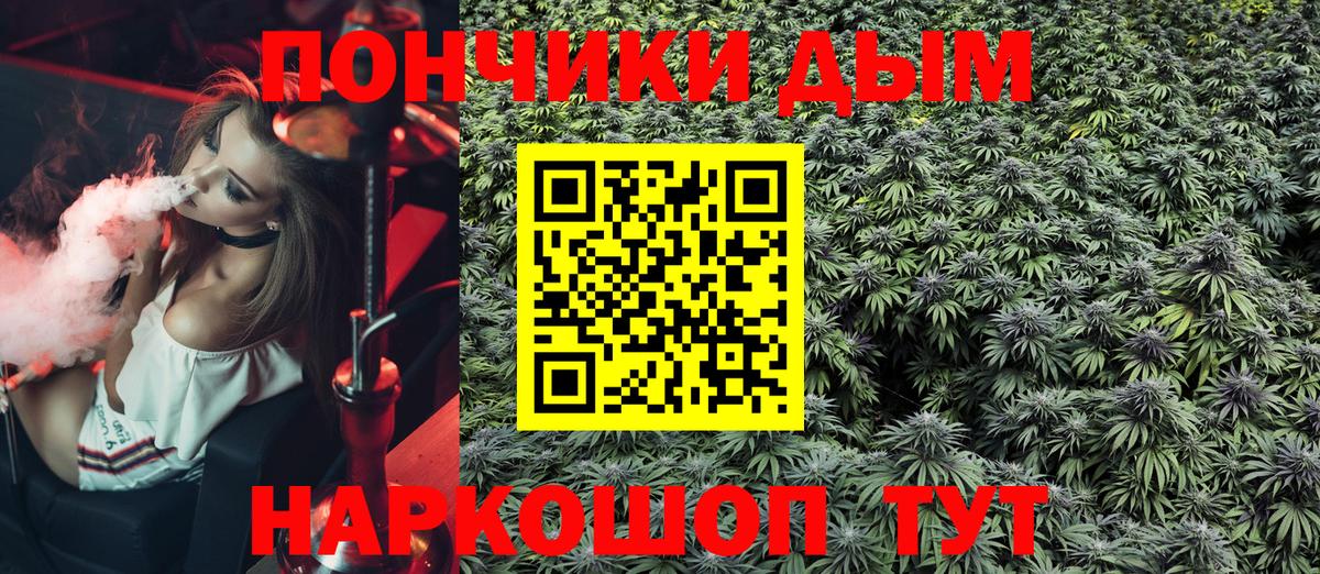 Шишки марихуана марихуана Гагарин